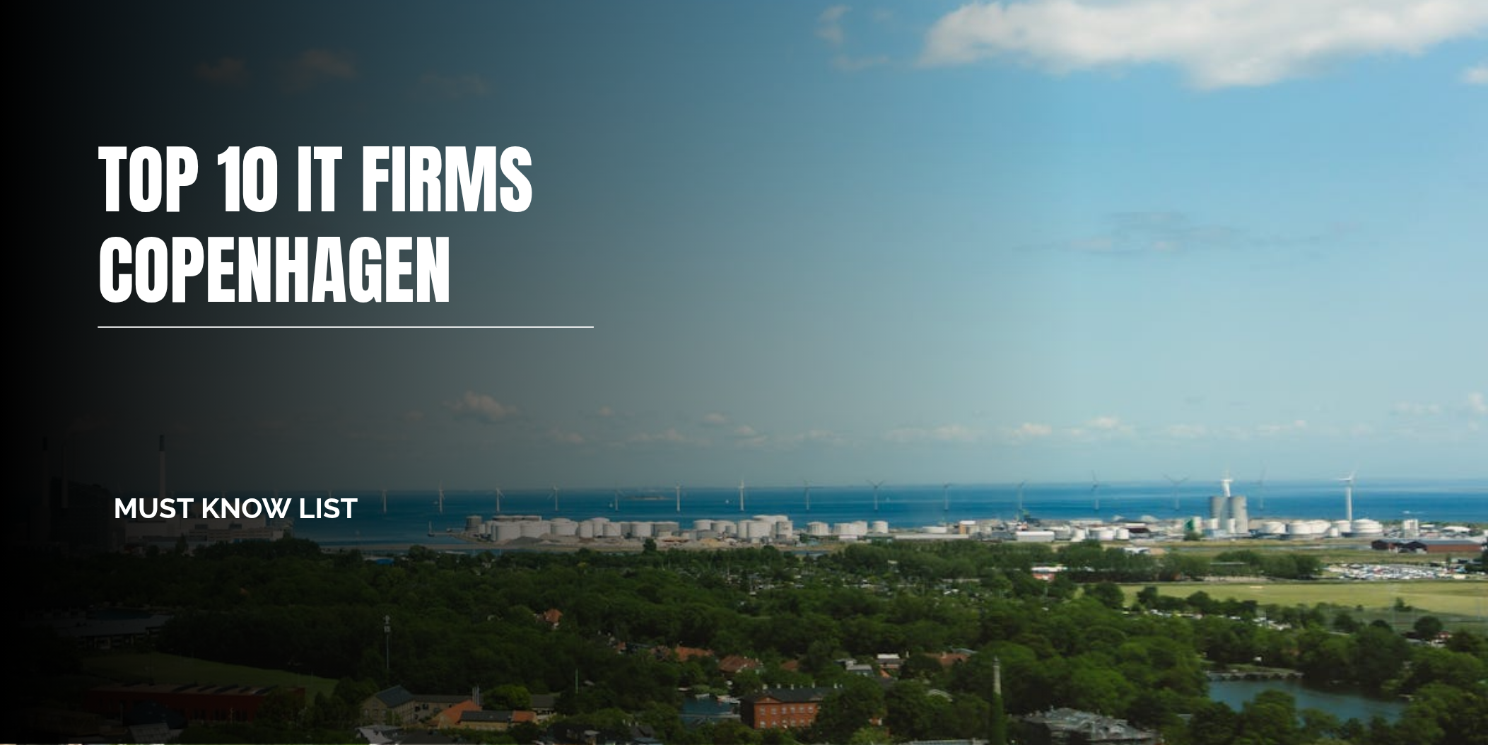 it companies in copenhagen